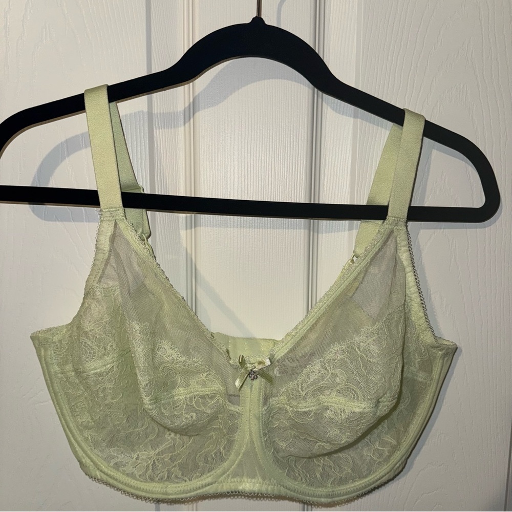 Wacoal Underwire Lace Bra Womens 38DDD Light Green‎ Sheer Floral Full Coverage